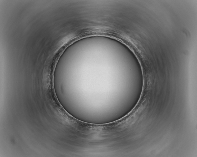 X0000112541211200908171435