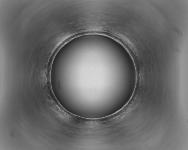 X0000112541212200908171435