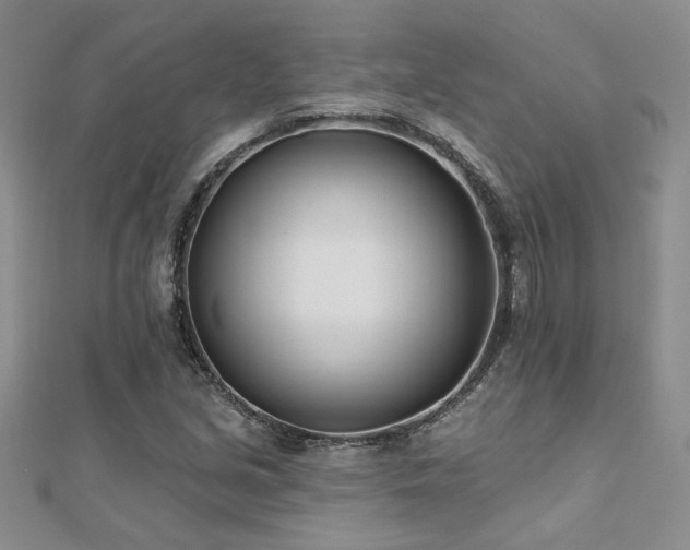 X0000112541213200908171435