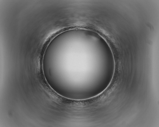 X0000112541214200908171435