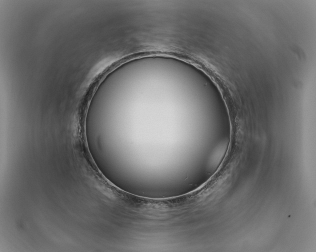 X0000112541215200908171435