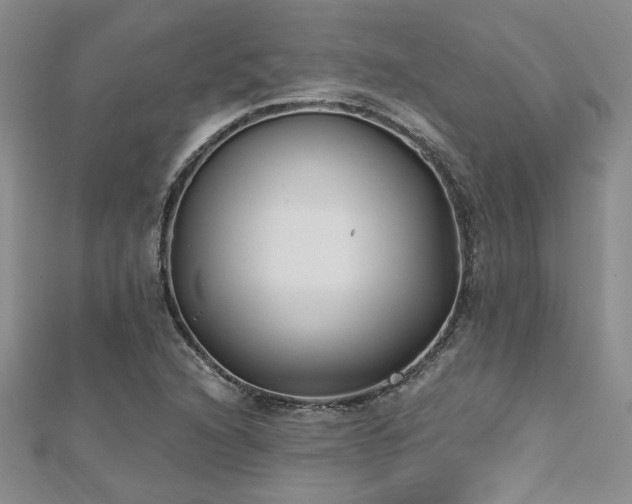 X0000112541216200908171435