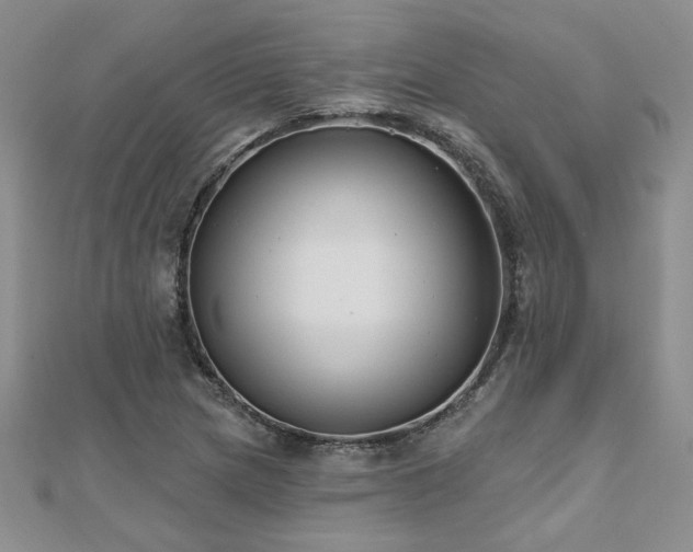 X0000112541217200908171435