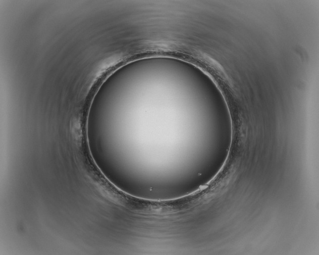 X0000112541218200908171435
