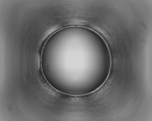 X0000112541219200908171435