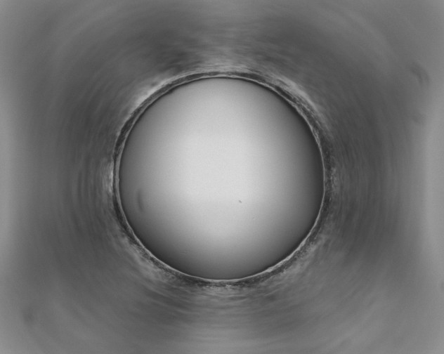 X0000112541220200908171435
