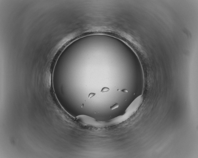 X0000112541221200908171435