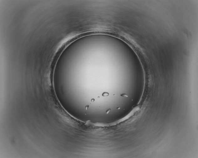 X0000112541222200908171435