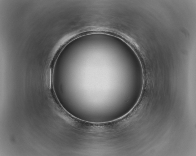 X0000112541223200908171435