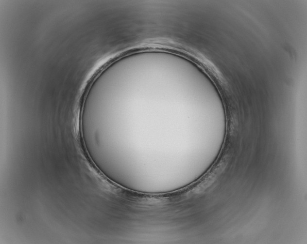 X0000112541224200908171435