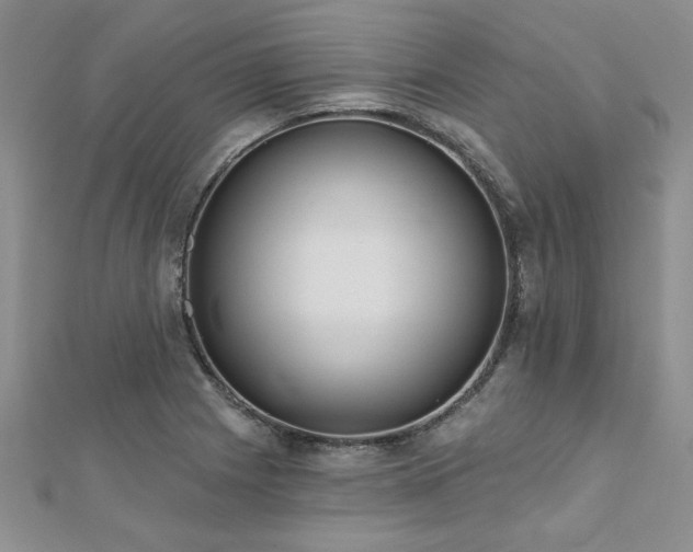 X0000112541225200908171435