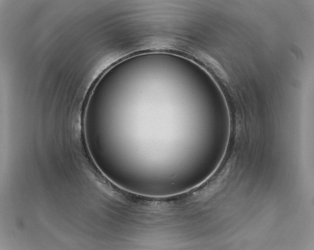 X0000112541226200908171435