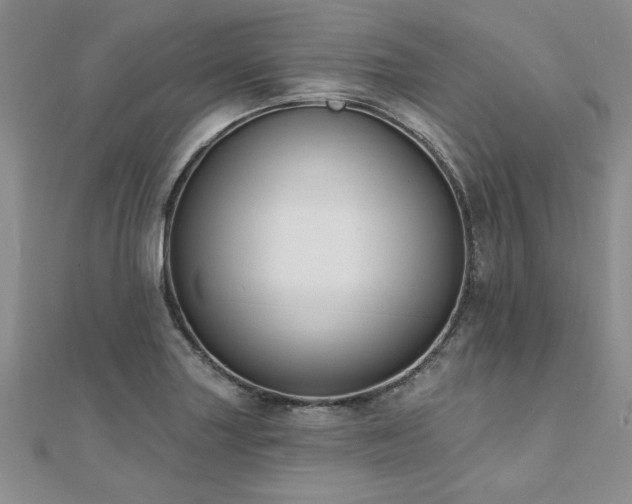 X0000112541227200908171435