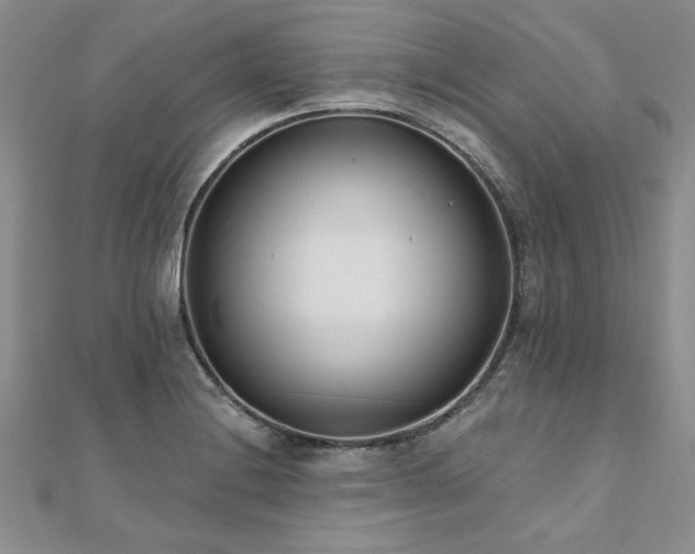 X0000112541228200908171435