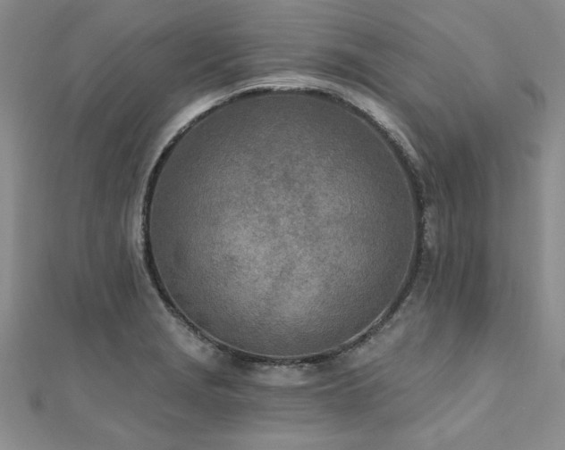 X0000112541229200908171435