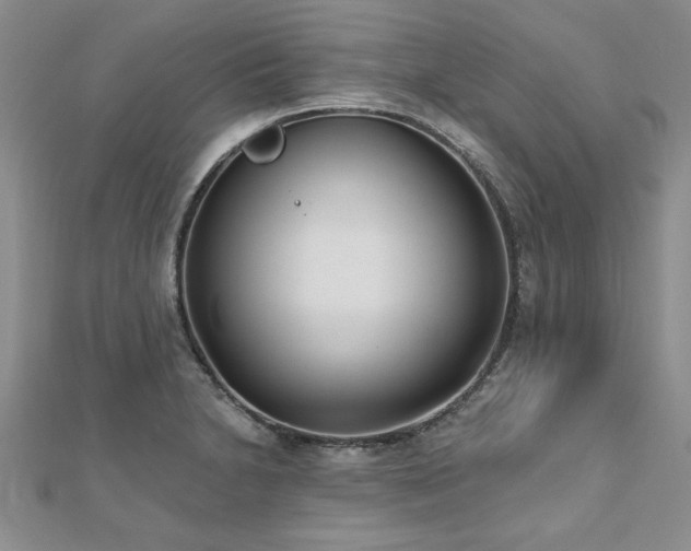 X0000112541230200908171435
