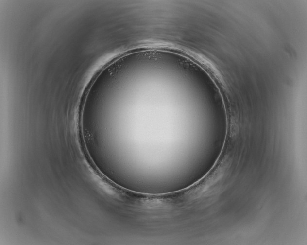 X0000112541231200908171435