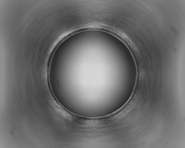X0000112541232200908171435
