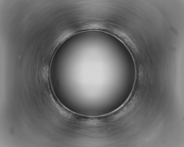 X0000112541233200908171435