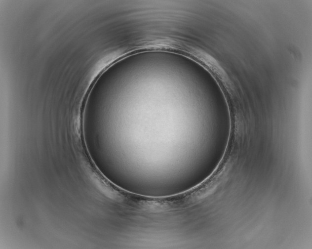 X0000112541234200908171435