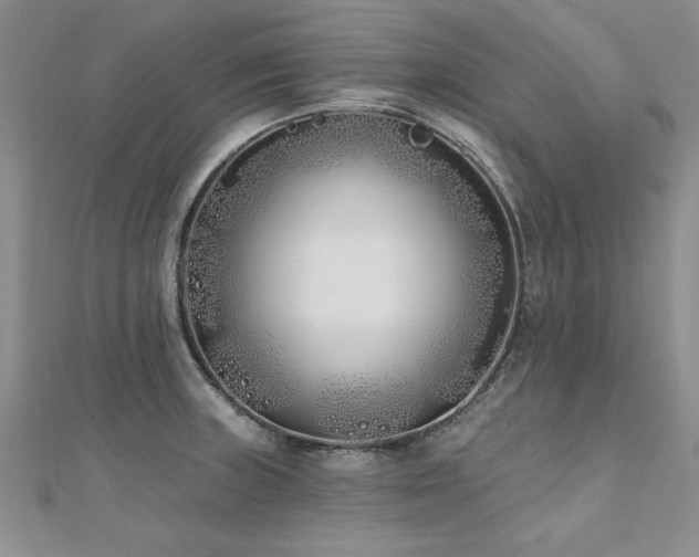 X0000112541235200908171435