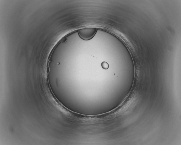 X0000112541236200908171435