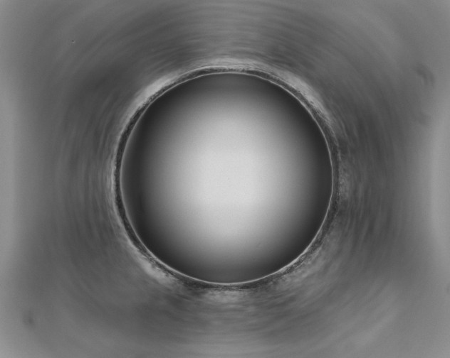 X0000112541237200908171435