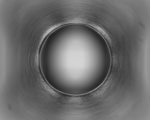 X0000112541238200908171435