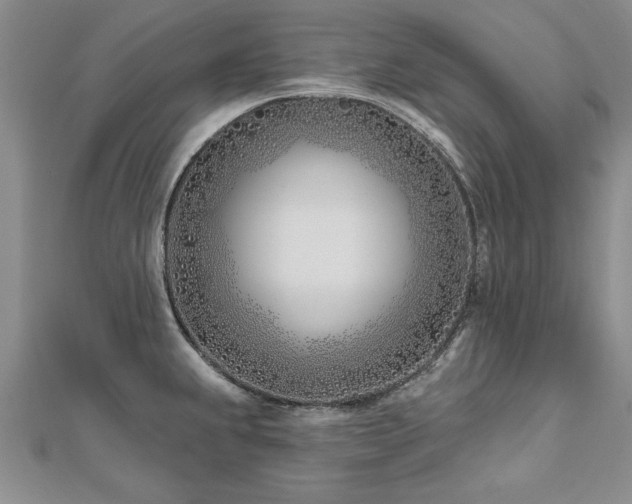 X0000112541239200908171435