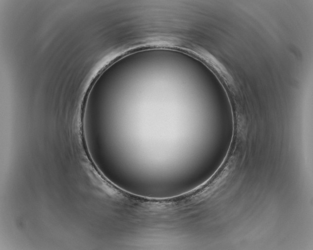 X0000112541240200908171435