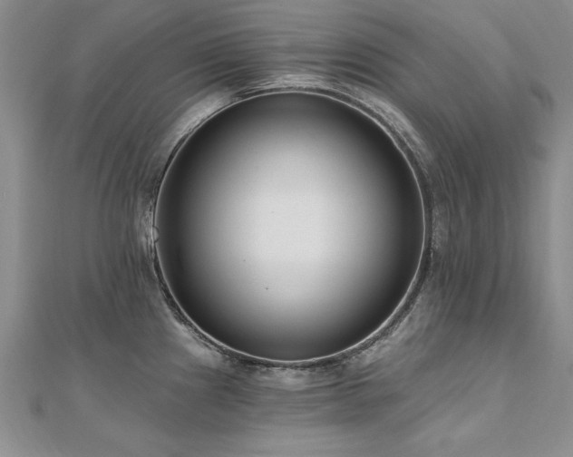 X0000112541241200908171435