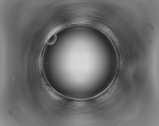 X0000112541242200908171435