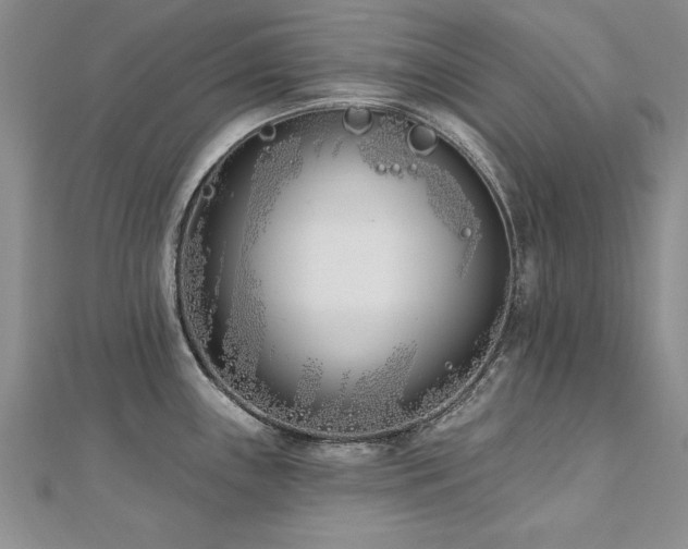 X0000112541243200908171435