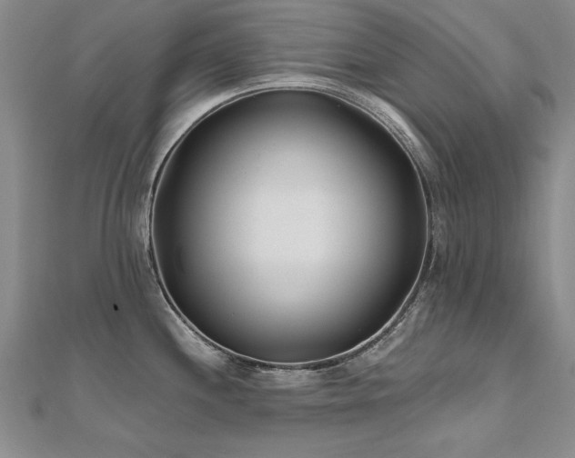 X0000112541244200908171435