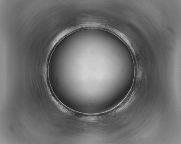 X0000112541245200908171435