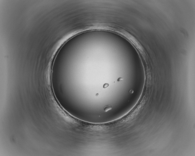 X0000112541246200908171435