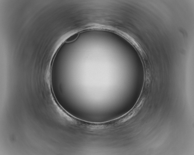 X0000112541247200908171435
