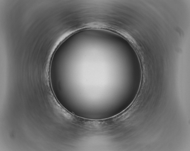 X0000112541248200908171435