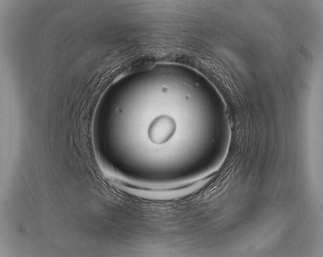 X0000112541249200908171435