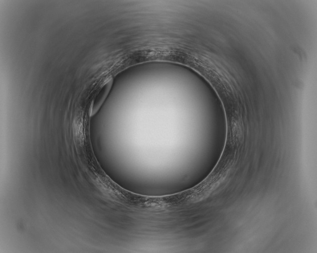 X0000112541250200908171435