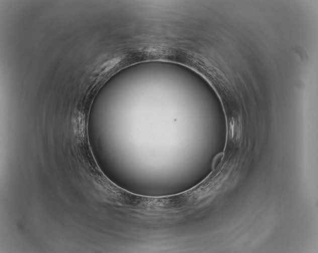 X0000112541251200908171435
