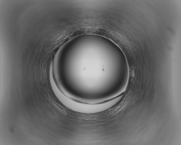 X0000112541252200908171435