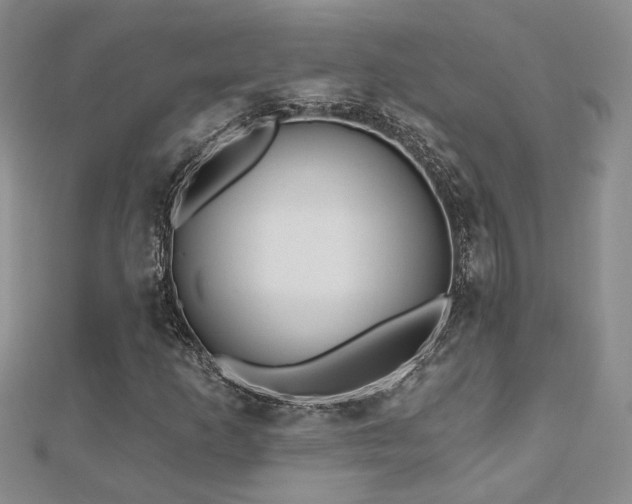 X0000112541253200908171435
