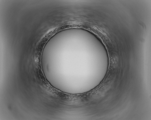 X0000112541254200908171435