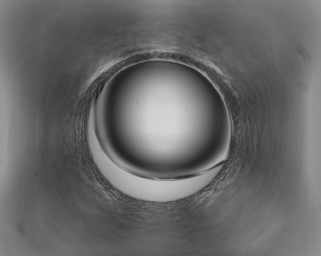 X0000112541255200908171435