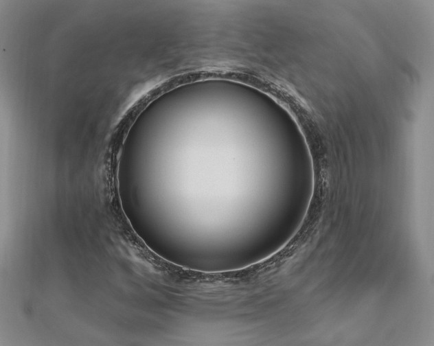 X0000112541256200908171435
