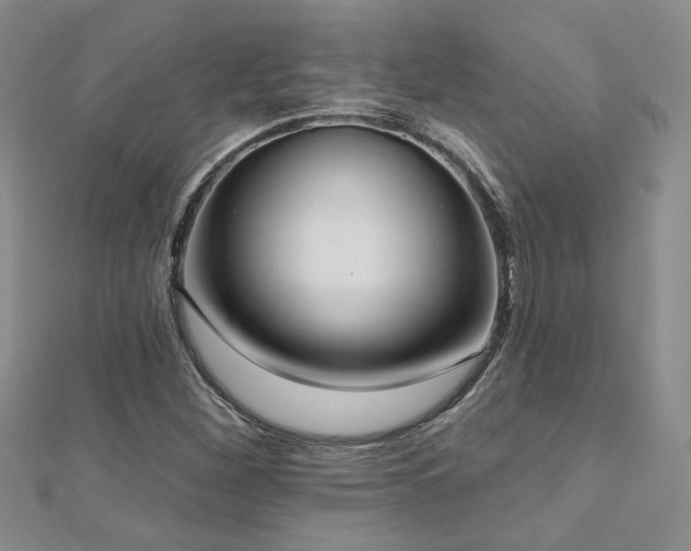 X0000112541260200908171435