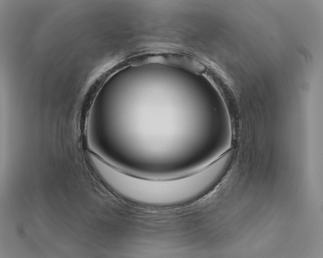 X0000112541261200908171435