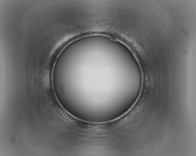X0000112541262200908171435