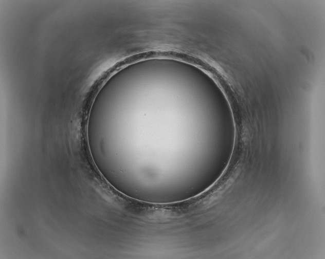 X0000112541263200908171435